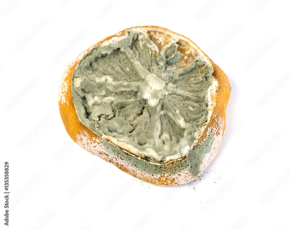 lemon isolated on white background lemon isolated on white background
