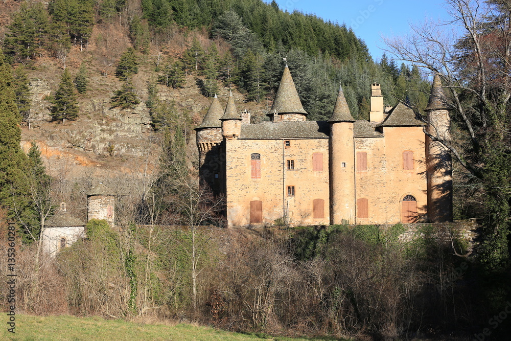 Historic castle in the Cévennes, France