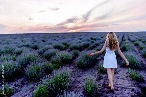 A girl in white dress in the lavender field. Wide view photo from behind