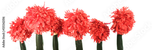 Tableau sur toile Group Of Cheerleaders