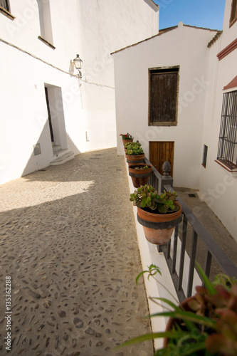 Andalusian white towns: Arcos de la Frontera, flowerpots in a scenic alley