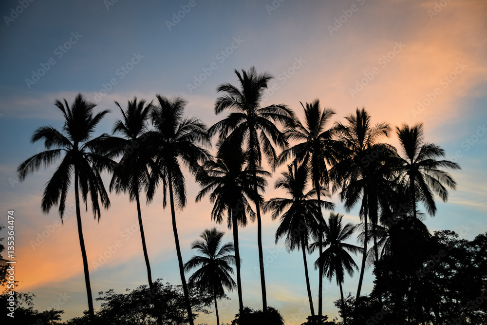 Idyllic tropical sunset with palm trees silhouettes, Guanacaste, Costa Rica