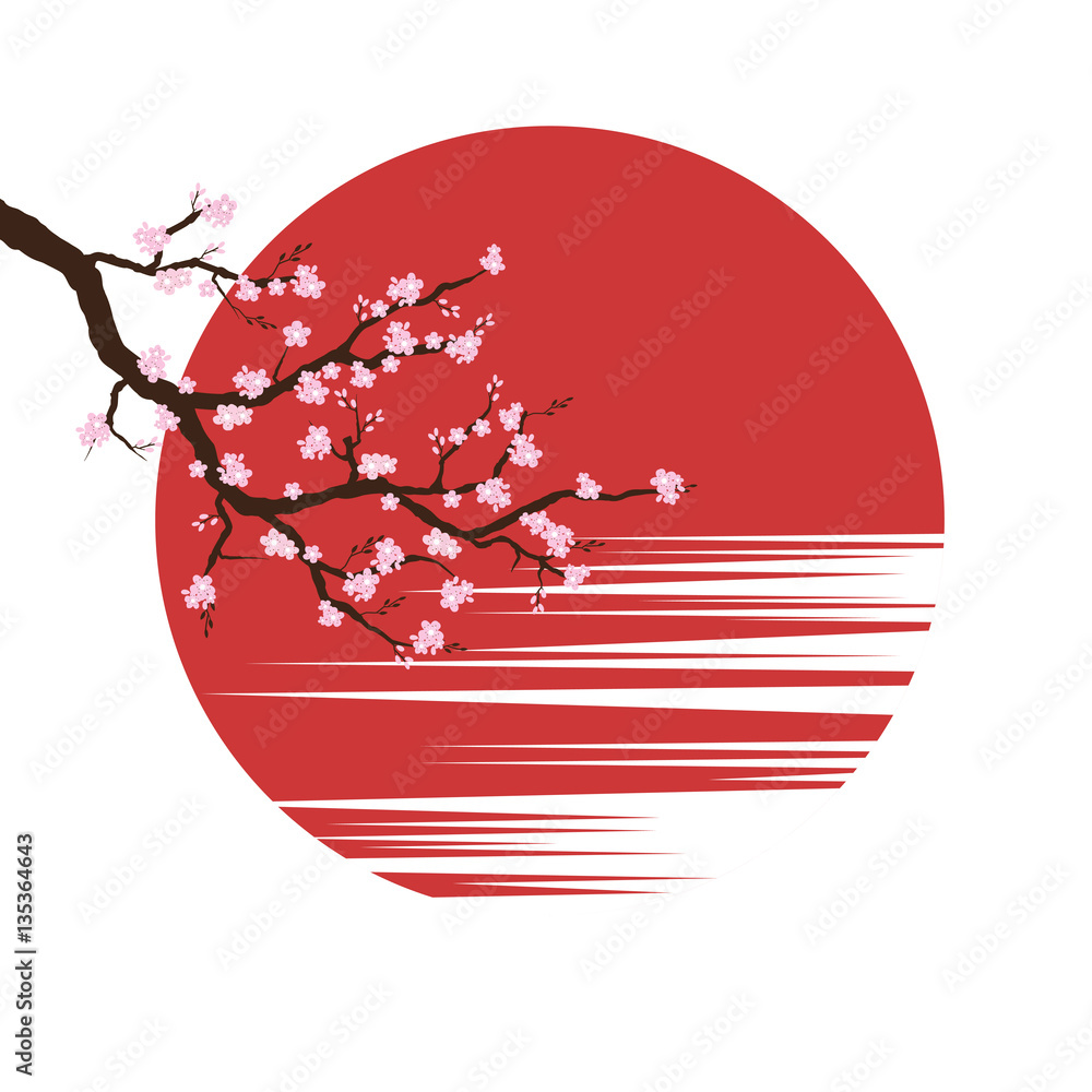 Fototapeta premium Cherry blossoms on sunset background. Japan sakura spring. Vector illustration on white background.