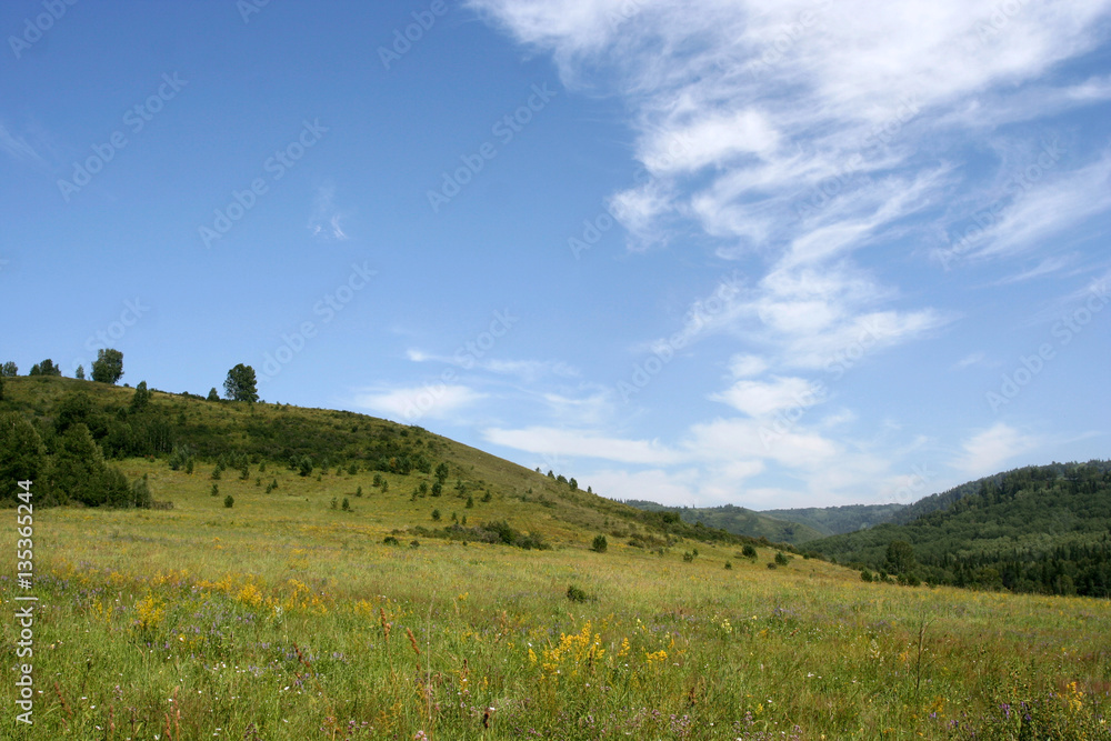 The Altai mountains near the Belaya river on the summer sunny day.