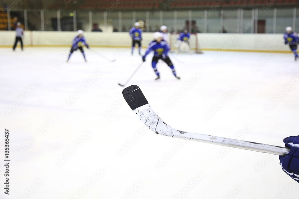 Naklejka premium Ice Hockey Stick