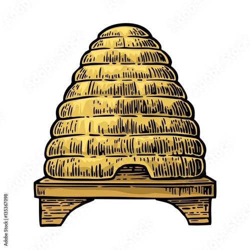 Beehive. Vector vintage engraved illustration. photo