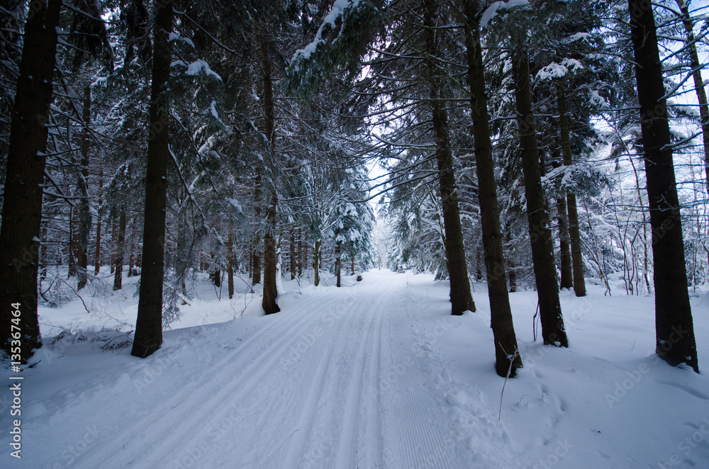 Fototapeta premium Winterlandschaft im Erzgebirge