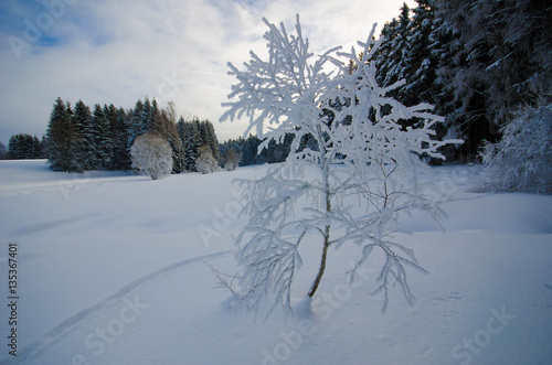 Wallpaper Mural Winterlandschaft im Erzgebirge Torontodigital.ca