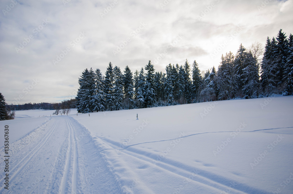 Winterlandschaft im Erzgebirge