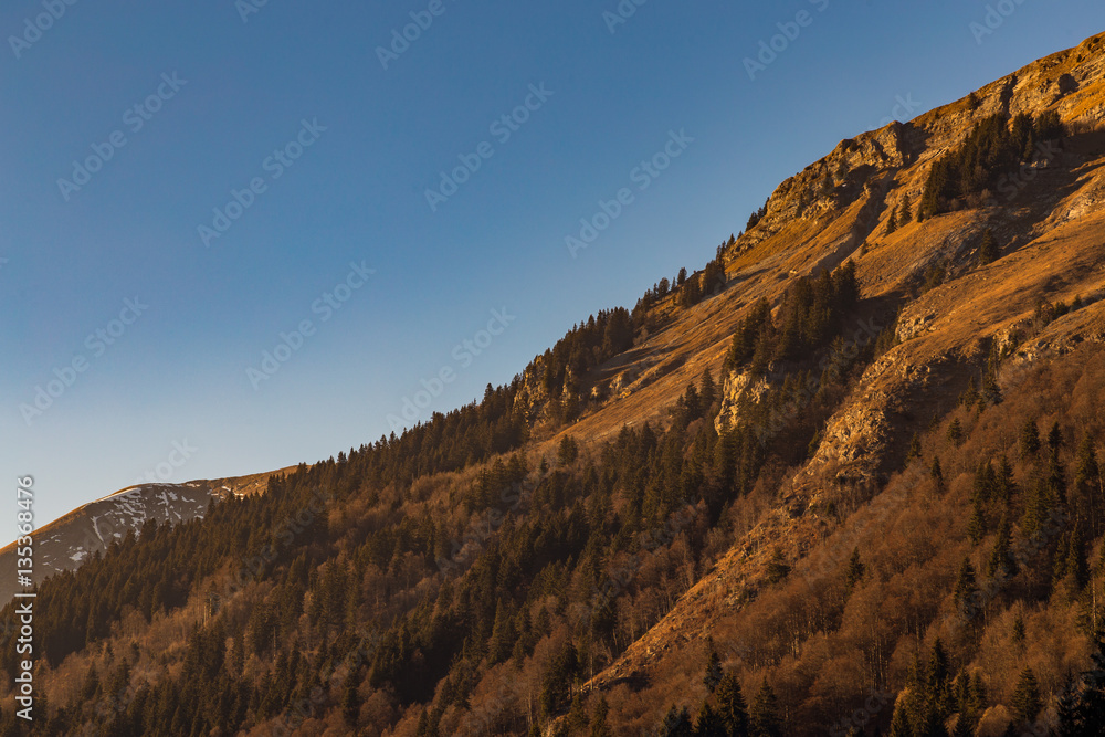 Autumn colored trees on a mountain side