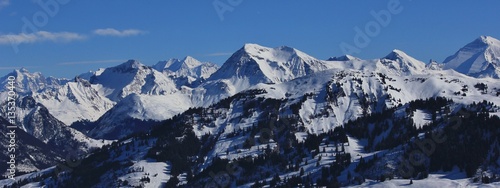 Mountain panorama seen from the Rellerli ski area