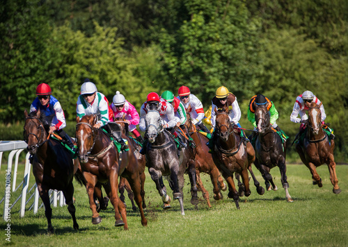 Tablou Canvas Horseracing in Czechia, Europe