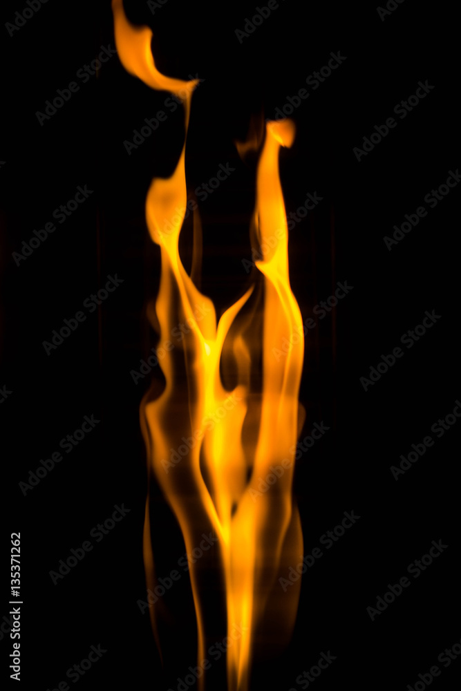 The dancing fire The dancing fire