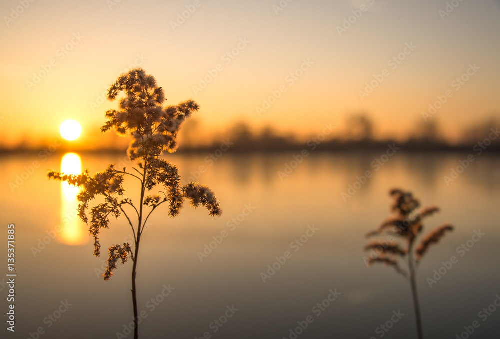 Romantic sunset on the lake in Autumns