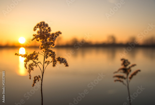 Obraz na płótnie Romantic sunset on the lake in Autumns w salonie