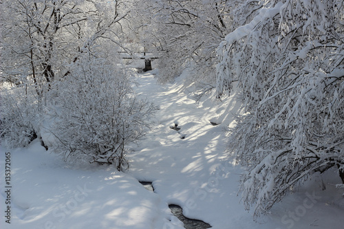 frozen river and trees in winter season photo