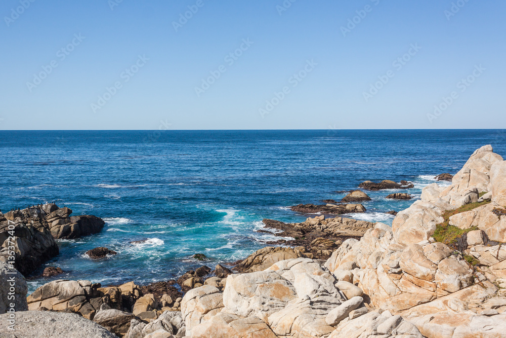 Scenic California Coast Landscape