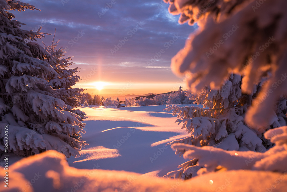 Obraz premium Golden sunlight over an idyllic white winter landscape with a little wooden hut in background