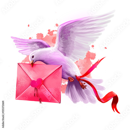 Digital illustration of pigeon bringing love letter. Flying post pigeon. Beautiful design with pink paint splashes. Happy Valentines Day greeting card design template for web and print. Add any text photo