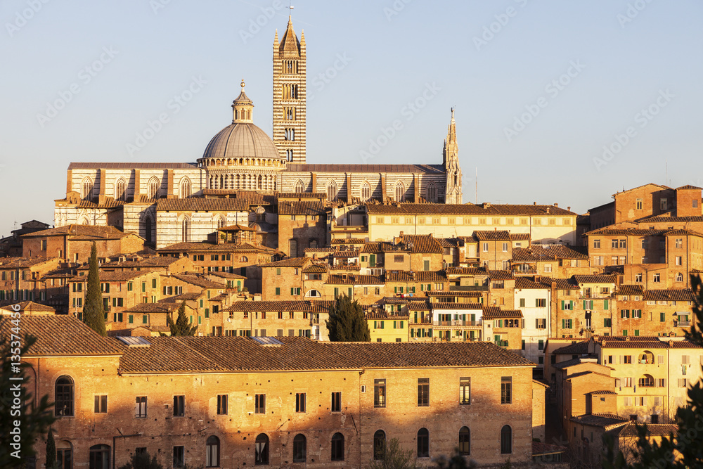 Fototapeta premium Siena Cathedral in Siena