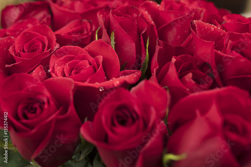 Red Roses for Valentine s or Mother s Day