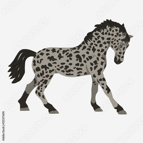 Horse profile vector