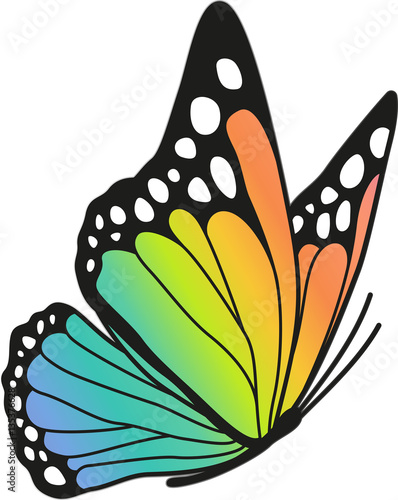 Vector illustration of a rainbow butterfly