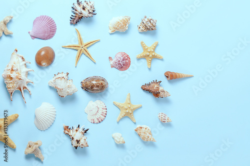 Plenty of different seashells on a blue background. Seaside themed background for travel agency template advertising or postcard. Top view vintage toned still life.