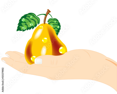 Pear in hand