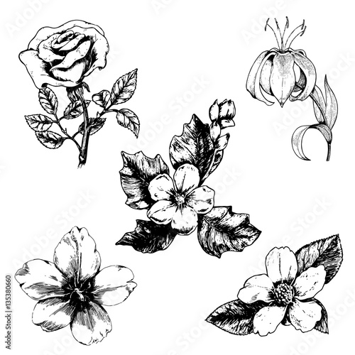 Floral Pattern 1