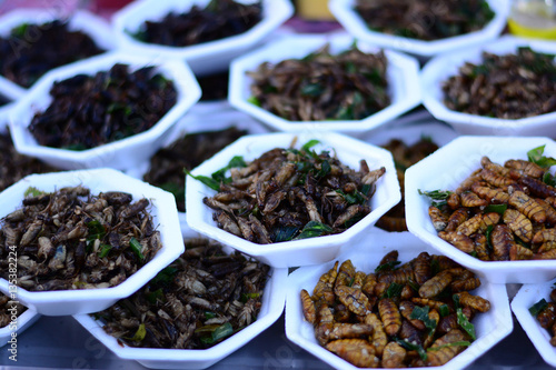 fried insects,Thailand street food
