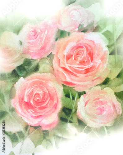 pink rose  watercolor hand-painted, isolated on white