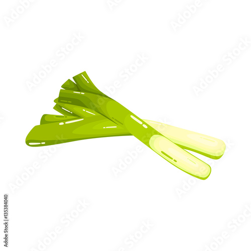 Fresh Green Leeks Realistic Vector Image Illustration