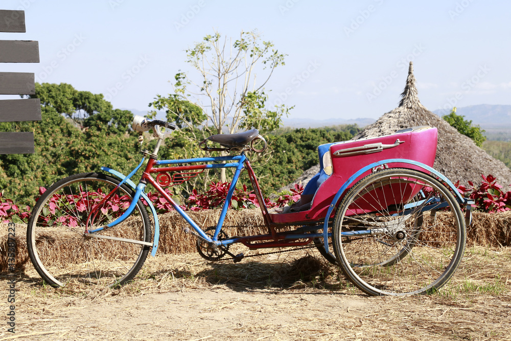Antique Pedicabs