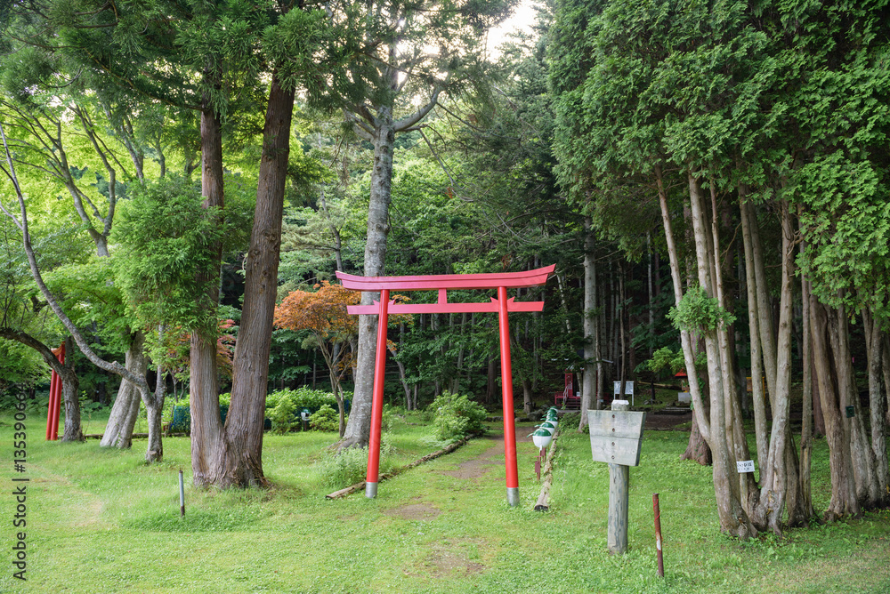 Fototapeta premium Torii