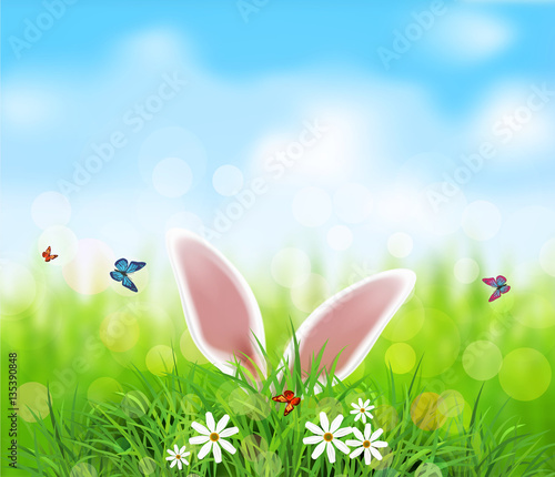 Vector background for Easter. Template. Rabbit ears sticking out
