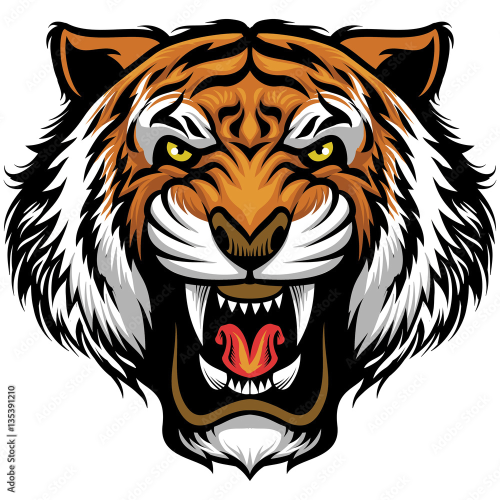 angry tiger face