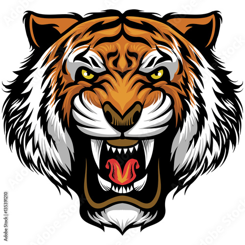 angry tiger face photo