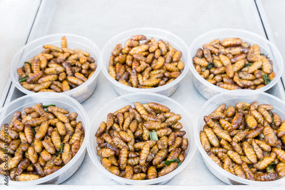 fired silk worm as snack in Asia fired silk worm as snack in Asia