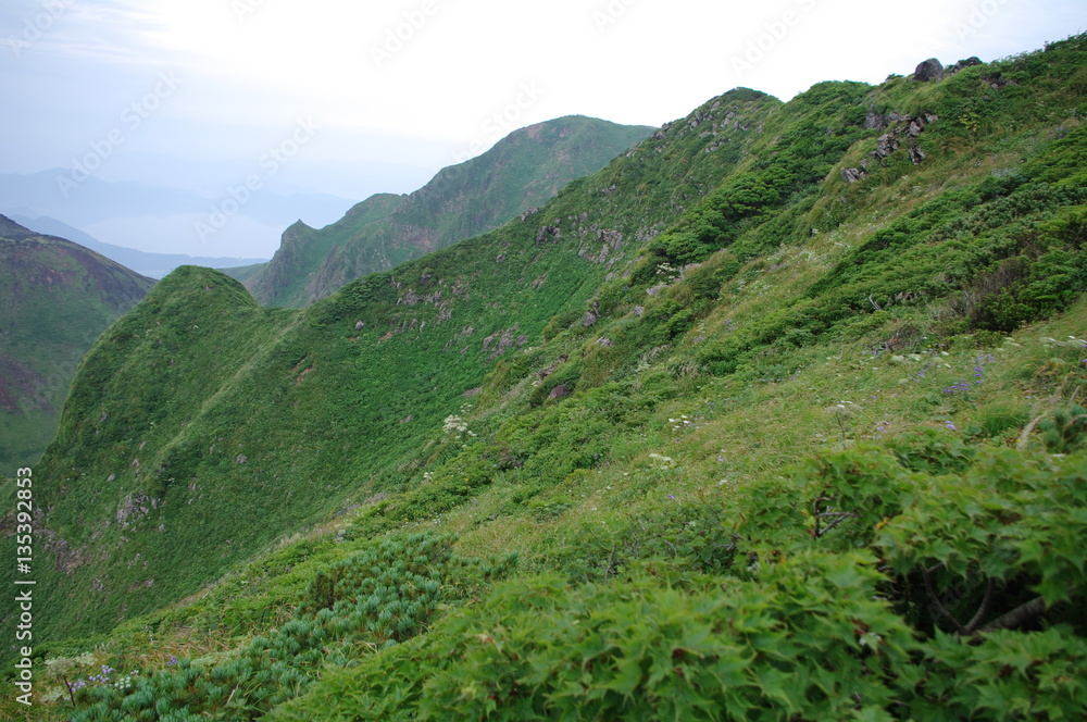 秋田駒ヶ岳 登山道 秋田駒ヶ岳 登山道
