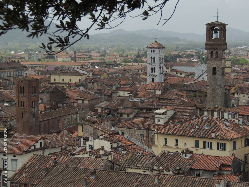 Obraz premium Lucca - panorama dalla torre Giuinigi