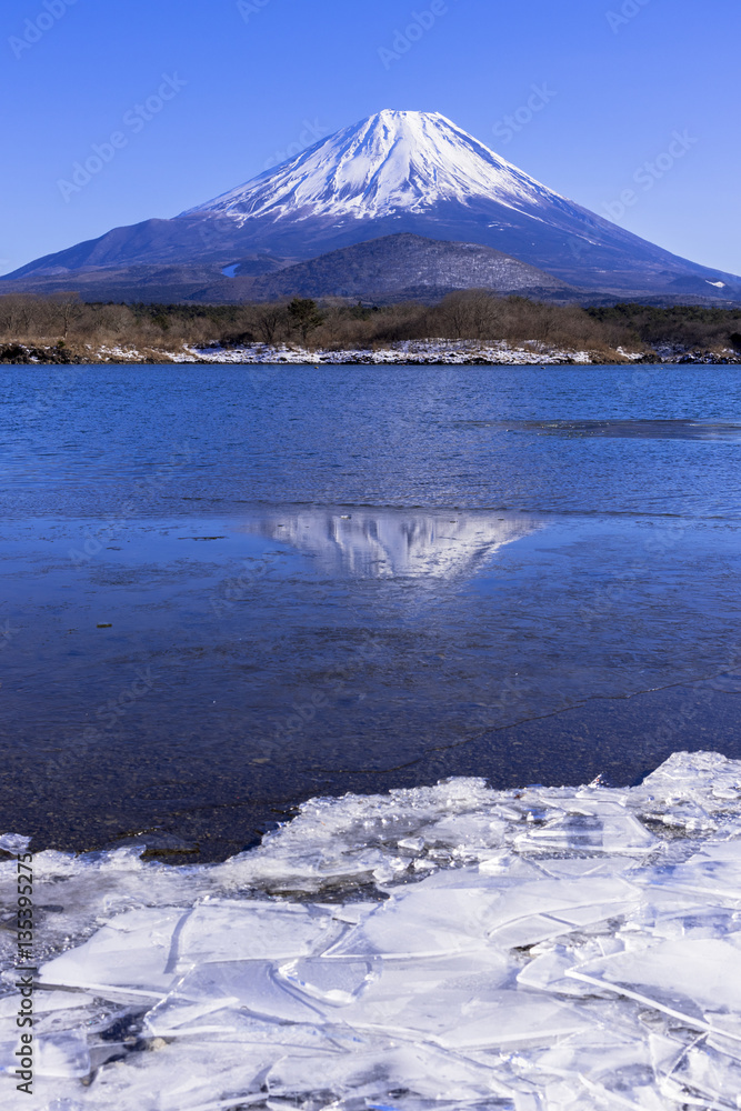 結氷した精進湖より厳冬期の富士山