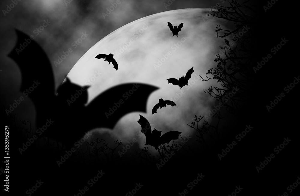 Moon in bat scary night.