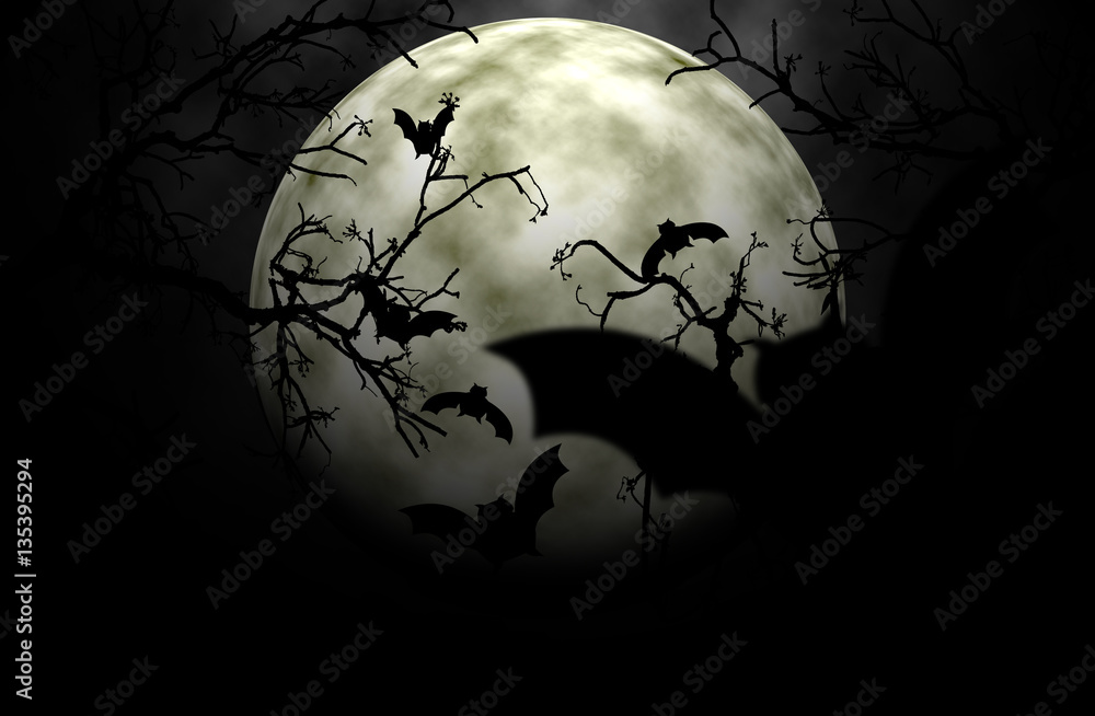 Trees in bat scary moonlight shadow.