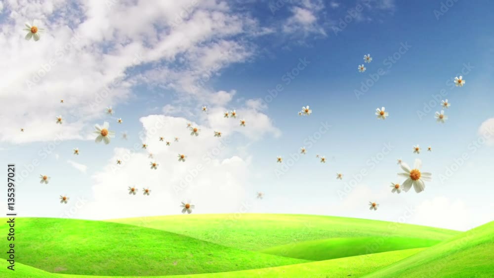 Floral explode background 