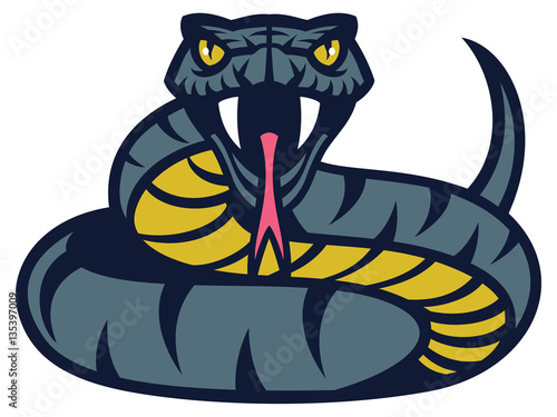 viper snake photo