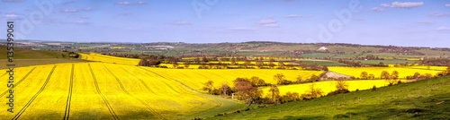 A panorame view of the Hertfordshire and Bedfordshire countryside in spring