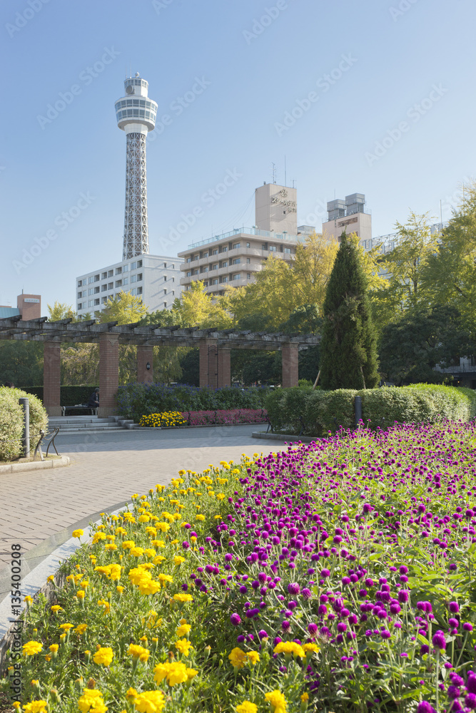 山下公園の花壇とマリンタワー（神奈川県横浜市中区）