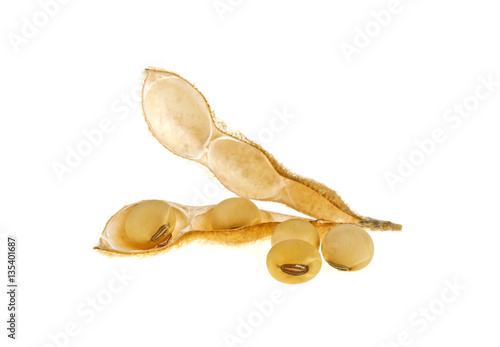 Soybean pods isolated on white background. Soya - protein plant