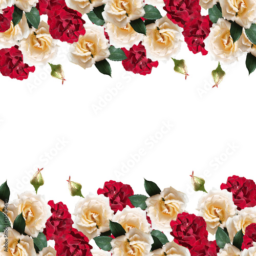 Beautiful floral background of dark red and cream roses 